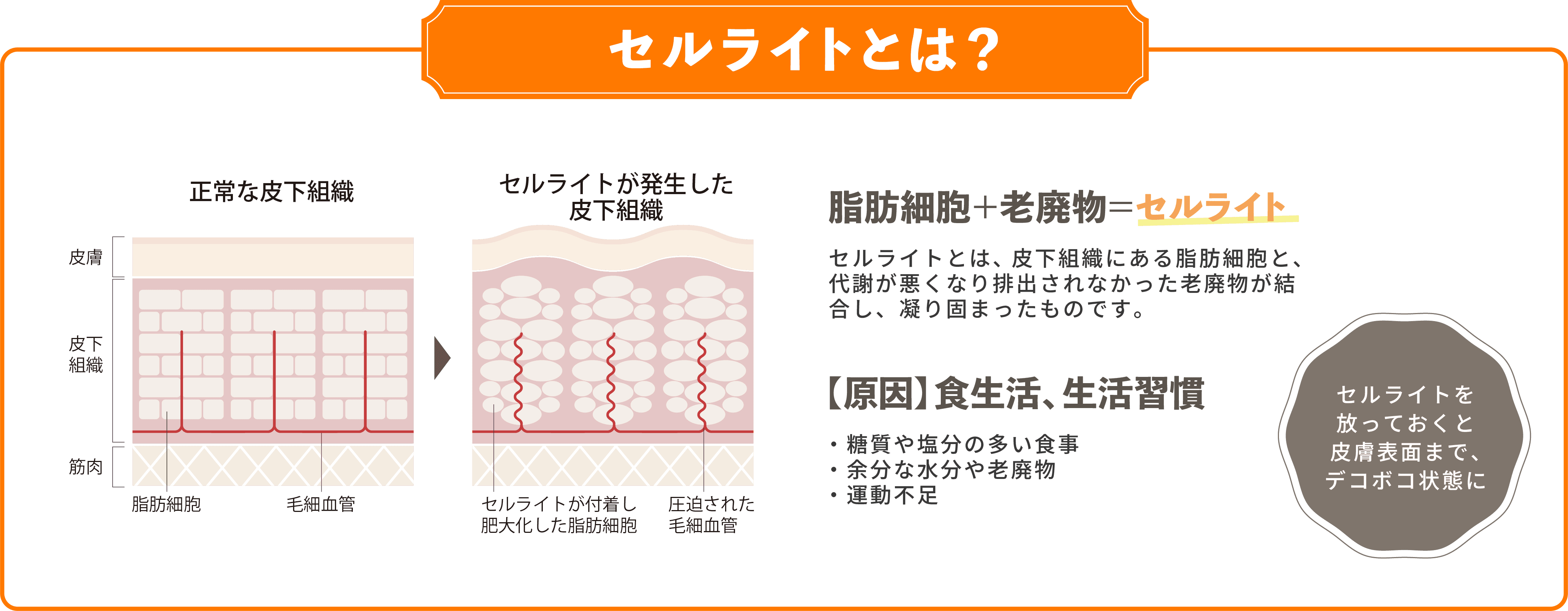 お客様に合わせて施術箇所をカスタマイズ