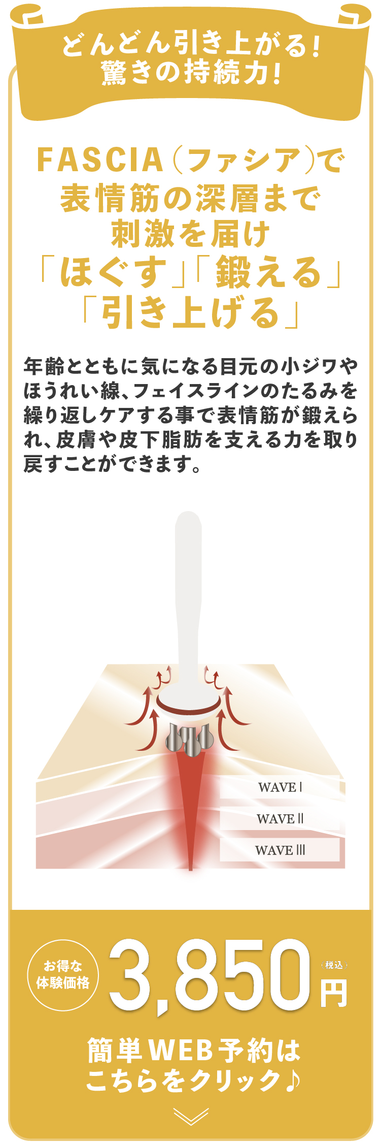 どんどん引き上がる！驚きの持続力！